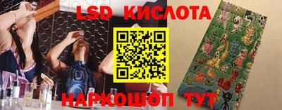 крисы Боровичи