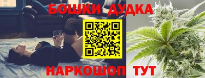 крисы Боровичи