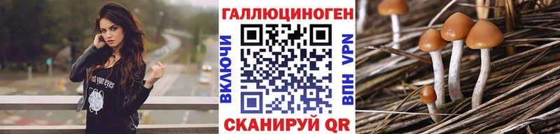 Галлюциногенные грибы прущие грибы  наркошоп  сайты даркнета какой сайт  Белово 