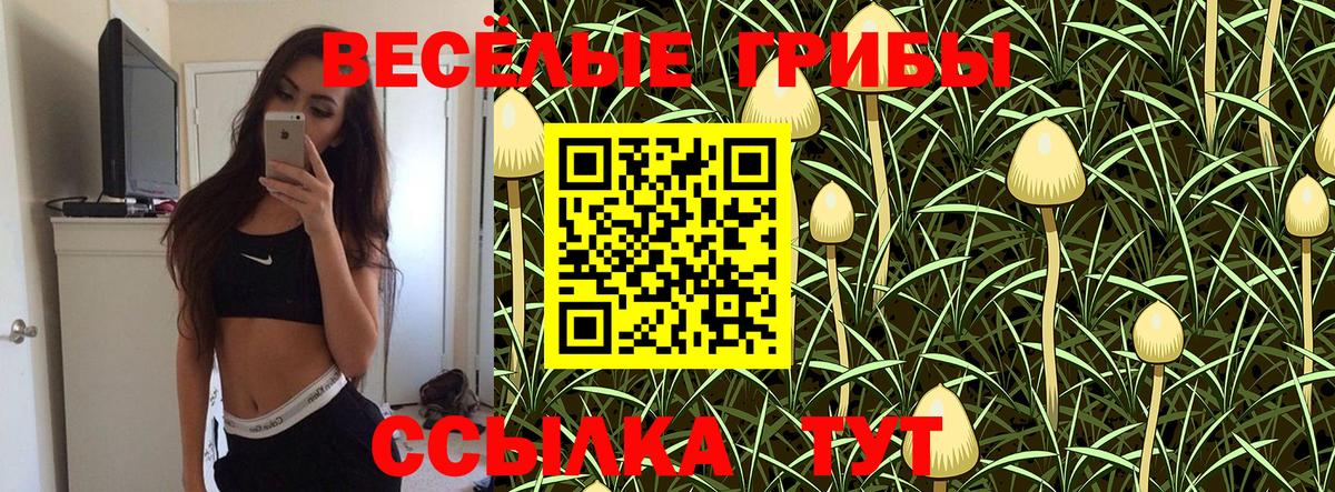 Галлюциногенные грибы Cubensis Белово