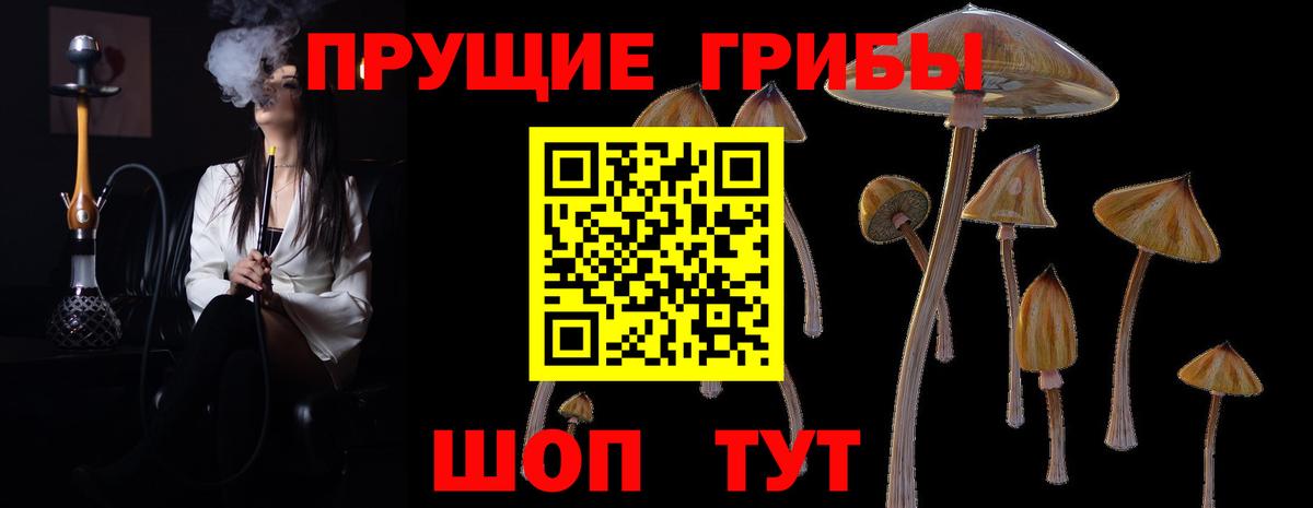 Белово  Галлюциногенные грибы GOLDEN TEACHER  Вход с VPN 